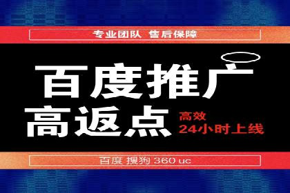 案例研究：竞价广告助力电商行业增长